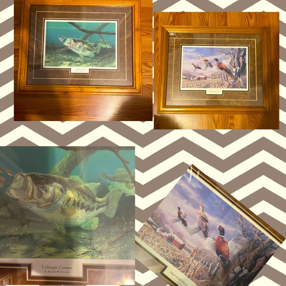 2 framed pictures
